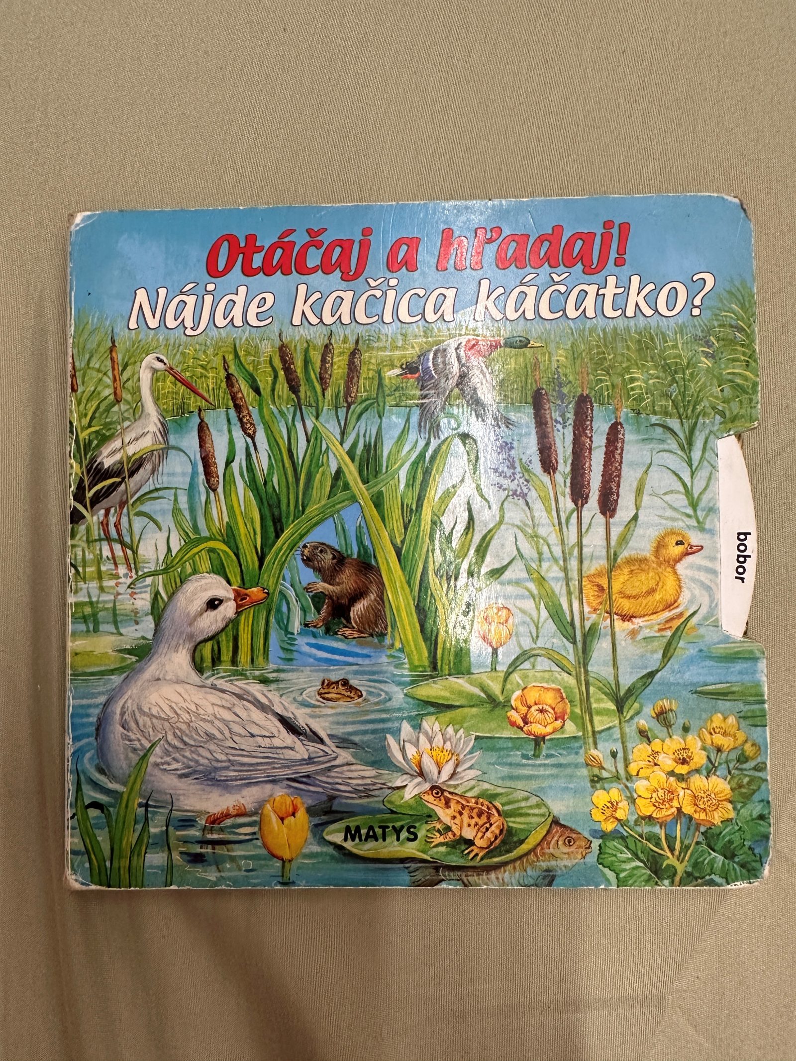 Nájde kačica káčatko?