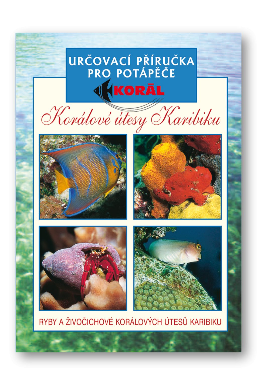 Korálové útesy Karibiku – Určovací příručka pro potápěče